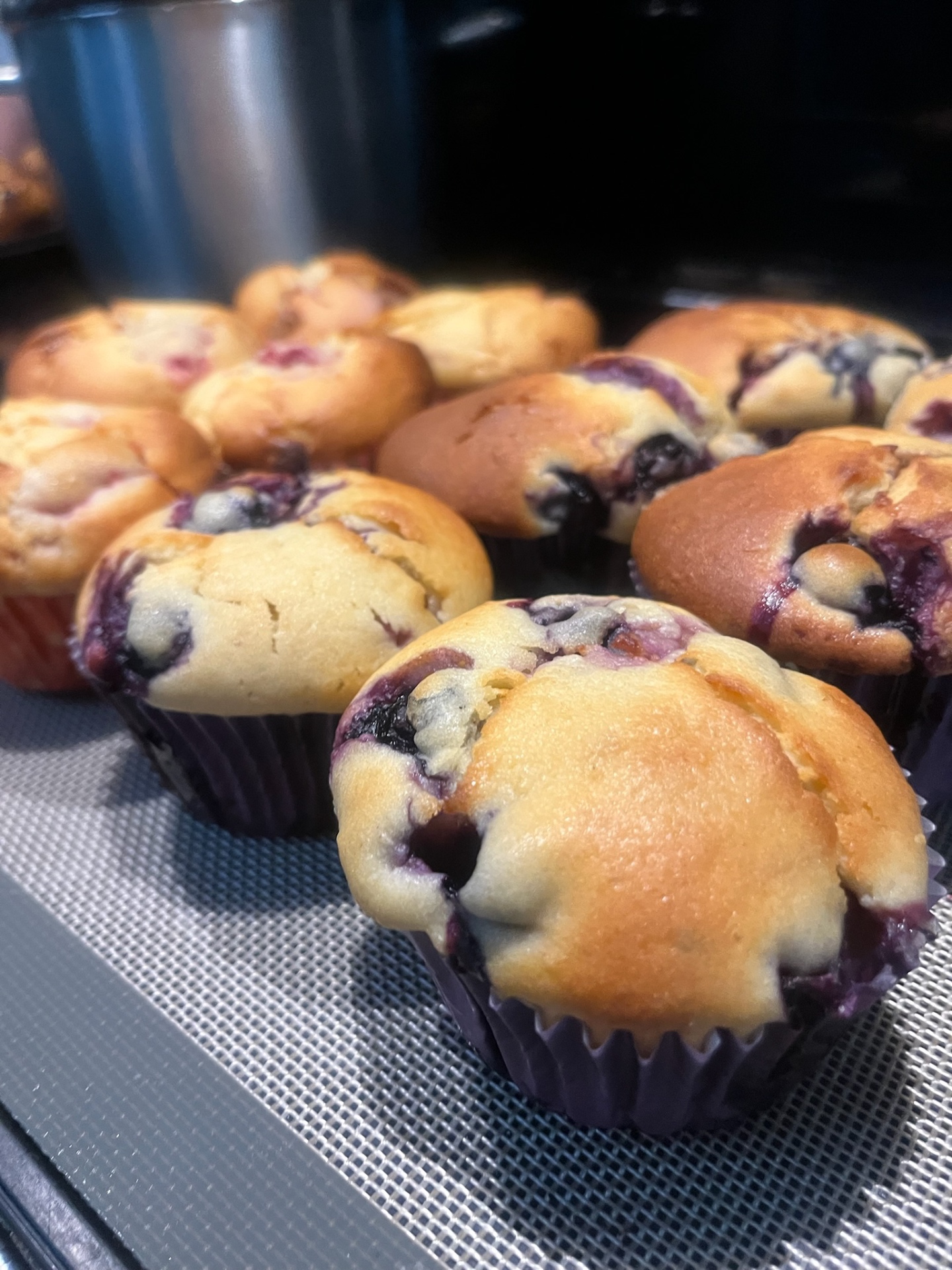 Blueberry Muffins